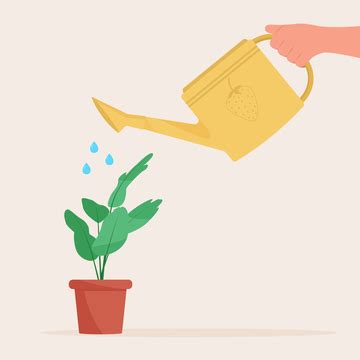 Hand Holding Watering Can Liquid Flora Leaf Png And Vector With