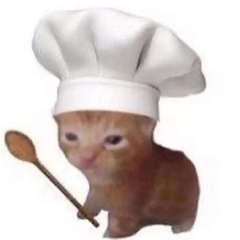 Cute chef cat | Cat memes, Funny cat faces, Funny cat captions