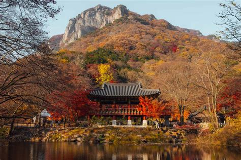 Autumn in Korea - 7 Day Road Trip Itinerary for South Korea