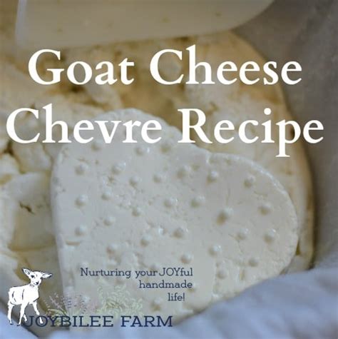 Goat Cheese Chevre Recipe Diy Herbs With Joybilee Farm