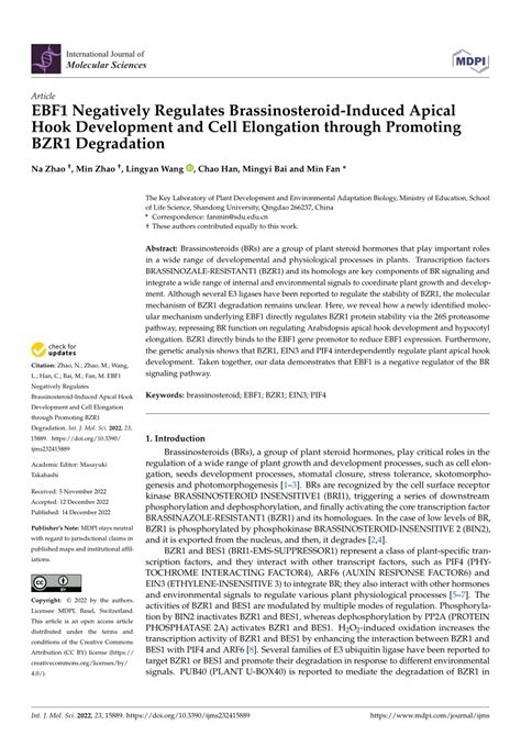 Pdf Ebf1 Negatively Regulates Brassinosteroid Induced Apical Hook