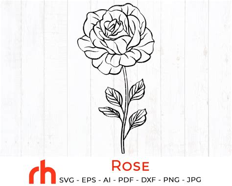 Rose Svg June Birth Flower Svg Rose Silhouette Birth Month Flower Svg