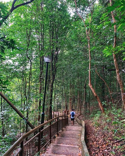 Mount Faber - Hiking Trail, Rainbow Stairs & SG “Most Scenic Washroom”