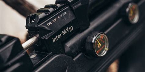 How To Clean Air Rifle? | Air Gun Maintenance Guide