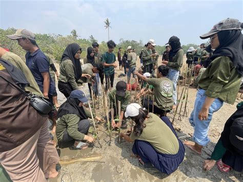 Himpunan Mahasiwa Teknik Lingkungan ITERA Bersama Komunitas Mangrove