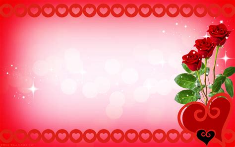 Lovely Pink Roses Hd Wallpaper Love, Romance, Rose, - Love You ...