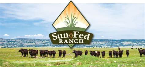 Sunfed Ranch Grass Fed Beef Now At Pcc Grass Fed Beef Grass Beef