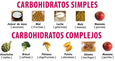 Qué son los carbohidratos Salud180