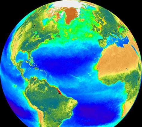 Colloquium: Biosphere and Human Sphere