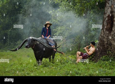 Woman Sitting On Buffalo Talking To Man Sitting Under Tree Hi Res Stock