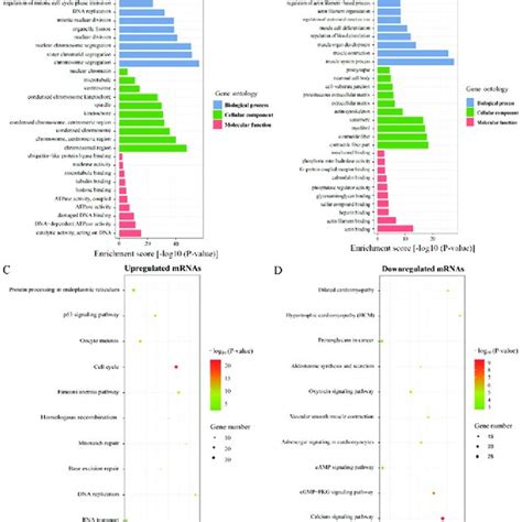 Go And Pathway Analysis Of The Degs A And B The Top 10 Enriched Go