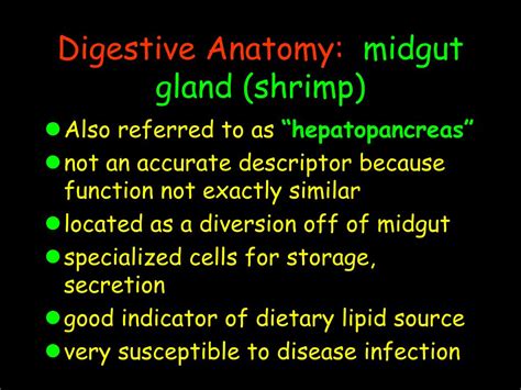 PPT Digestion And Nutrient Metabolism PowerPoint Presentation Free