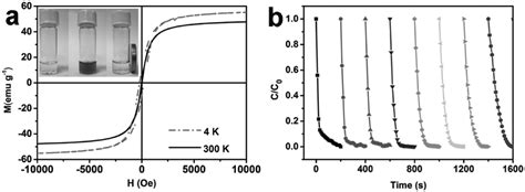 a Magnetic hysteresis loops of the naked Au 5 nm γ Fe 2 O 3 clusters