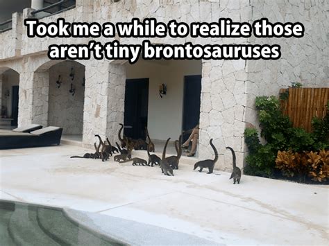 The Best Dinosaur Memes Of The Internet