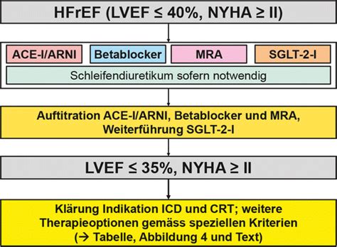 Therapie Der Herzinsuffizienz Mit Reduzierter Auswurffraktion Was Ist