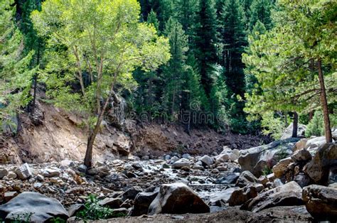 Rocky Colorado Riverbank In Usa Stock Photo Image Of River Daytime