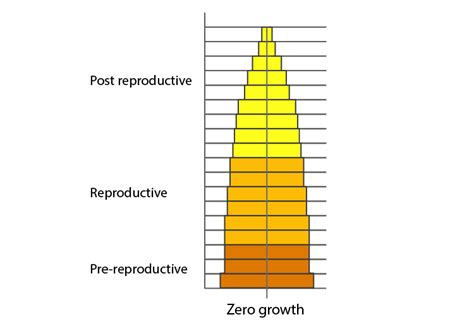 46 Define ‘zero Population Growth Rate’ Draw An Age Pyramid For The Same Noon Academy