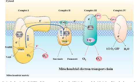 Reactive Oxygen Species Based Nanomaterials For The Treatment Of Myocardial Ischemia Reperfusion