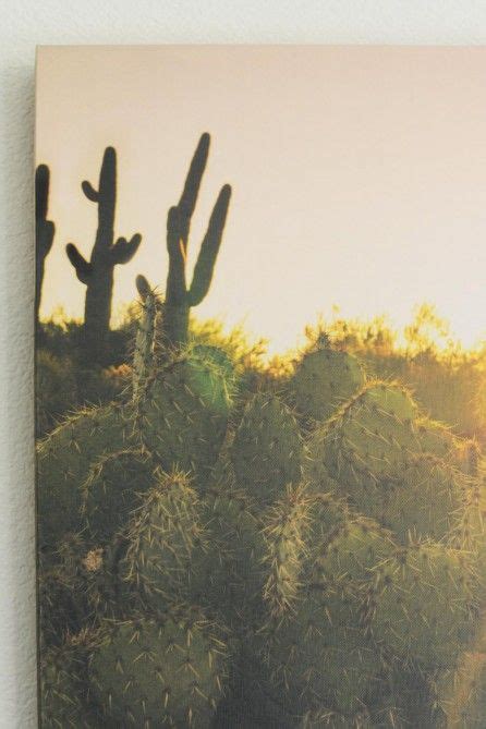 The Sun Shines Brightly Behind Some Cactus Trees