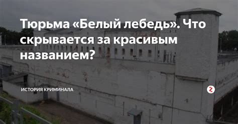 Тюрьма «Белый лебедь». Что скрывается за красивым названием? | История ...