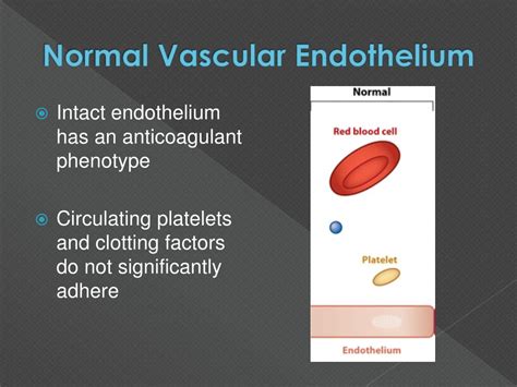 Ppt The Hemostatic System As A Modulator Of Atherosclerosis