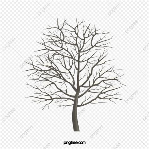 Rbol Muerto De Invierno Naturaleza Png Rbol Rbol Marchito