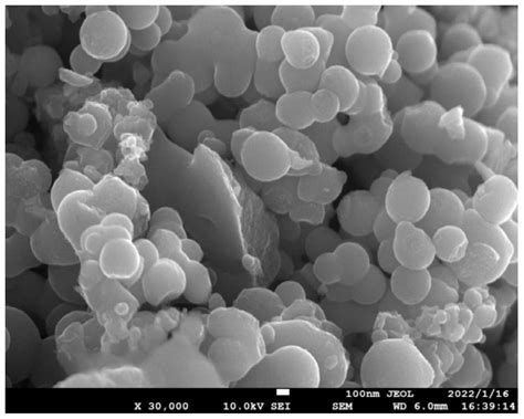 一种生物质基氮磷共掺杂碳纳米球及其制备方法和应用