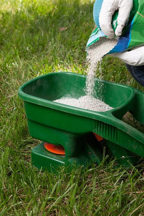 When to apply spring fertilizer – Cascade Gardens