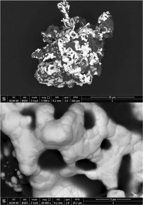 Scanning Electron Microscopy, SEM. | Download Scientific Diagram