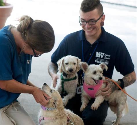 Will Rsm Join Mission Viejos Animal Shelter Orange County Register