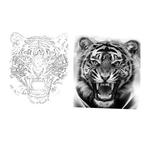 Tiger face tattoo stencil | Tiger face tattoo, Tiger tattoo design ...