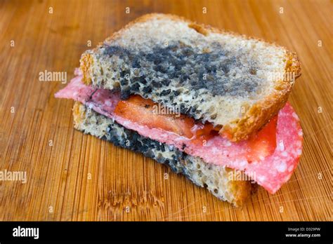 Moldy sandwich hi-res stock photography and images - Alamy