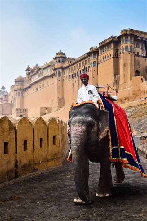 Best Time To Visit Jaipur A Guide To Unveiling The Charms Of The Pink