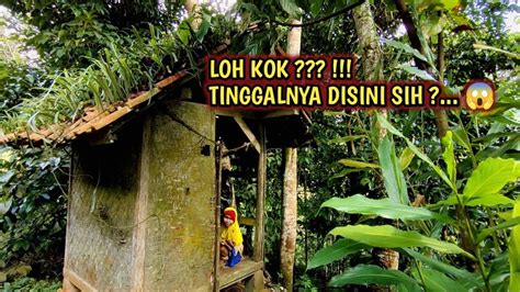 TAK DI SANGKA RUMAH TERPENCIL DI TENGAH HUTAN SUASANANYA ADEM AYEM