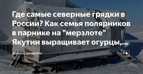 Где самые северные грядки в России? Как семья полярников в парнике на ...