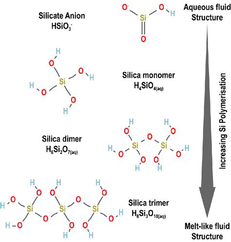 Structural Formulae Of The Silica Species Modelled In This Work Download Scientific Diagram