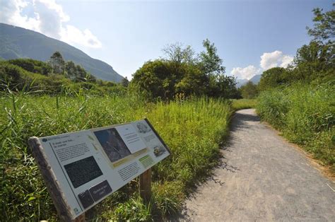 Randonnée pédestre sentier pédagogique de la Réserve naturelle du