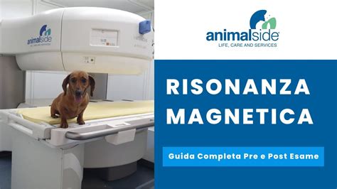 Risonanza Magnetica Rm Cosa Aspettarsi Come Prepararsi E Come