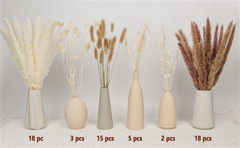 120pcs Natural Dried Pampas Grass Bouquet 12 Varieties Boho Home Decor Phragmites Dried Flowers