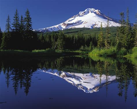 Mirror Lake Reflections