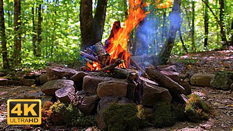 Forest Campfire Relaxing Crackling Sounds For Study Focus Restful