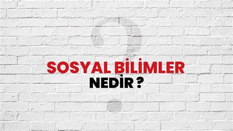 Sosyal Bilimler Nedir Ne Demek TÜBİTAK Ansiklopedi ile Sosyal