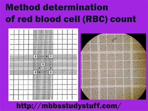 Calculation Of Blood Indices RBC Indices Medical Study Zone