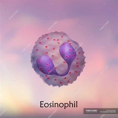 Eosinophil White Blood Cell Digital Illustration Colored Abstract