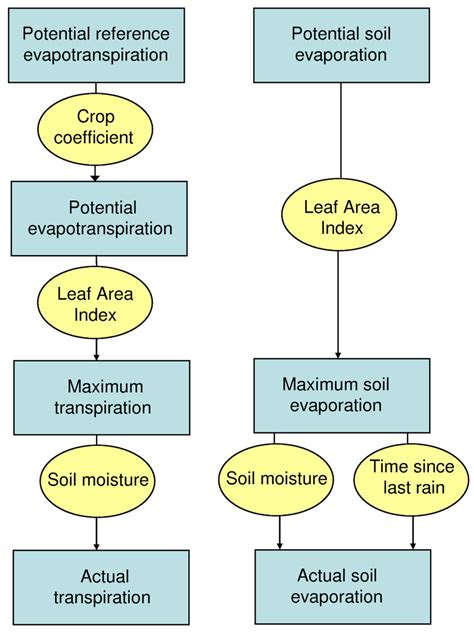 1 Main Steps In The Calculation Of Actual Transpiration And Evaporation