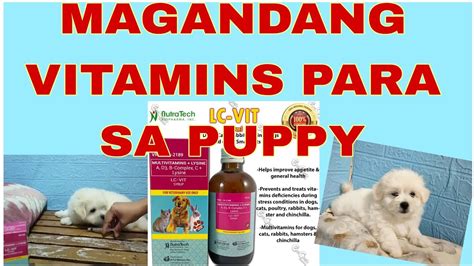 Vitamins Para Sa Puppy Pampagana Ng Kain YouTube