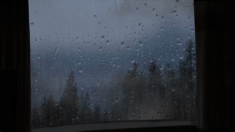 Rain And Thunder Sounds Rainforest Outside The Wooden Window Rain