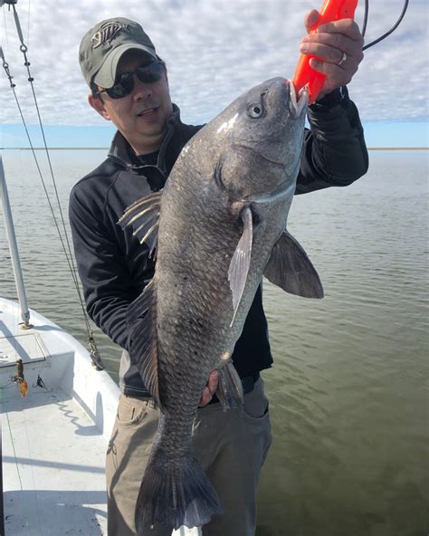 How To Catch Black Drum