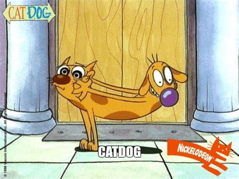 Сomics meme: "CATDOG" - Comics - Meme-arsenal.com