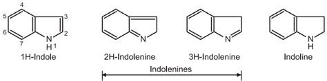 Synthesis and Reactions of Indole - Solution Parmacy